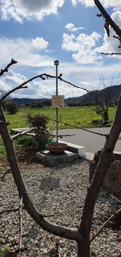 Il Forno Di Mamma Apartment Cardedu Dış mekan fotoğraf