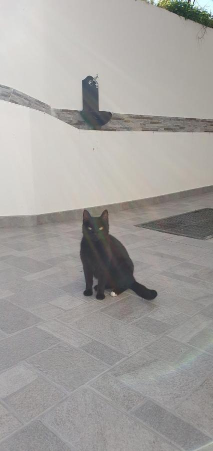 Il Forno Di Mamma Apartment Cardedu Dış mekan fotoğraf